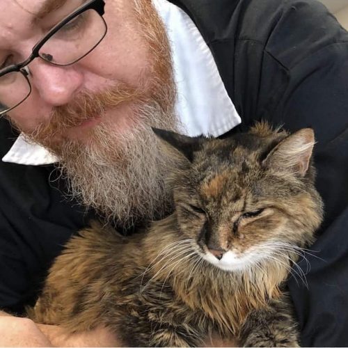 Asheville Pet Supply loving cat