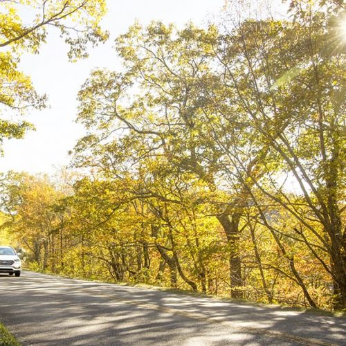 Asheville's Year Round Adventures