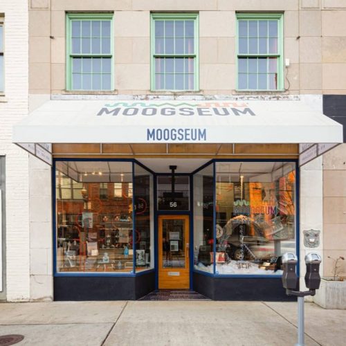 Moogseum-Street-View----Destiney-Freeman