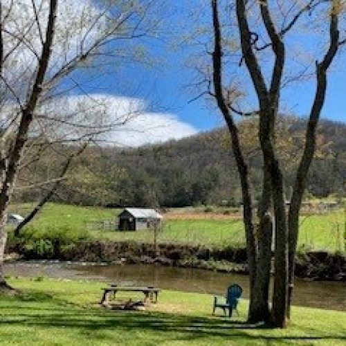 Mountain Springs Cabins